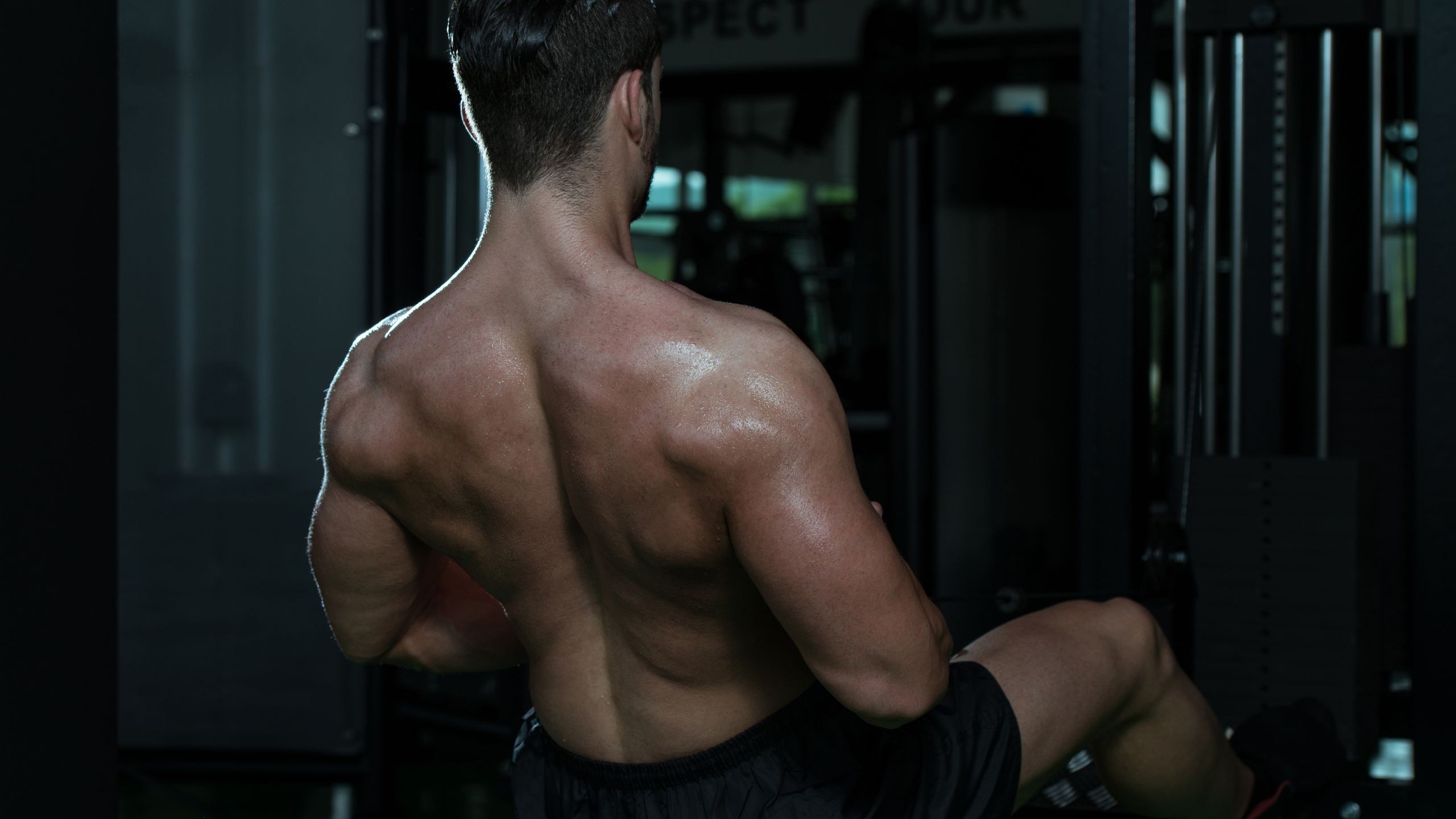 Black Lion Empire Hero